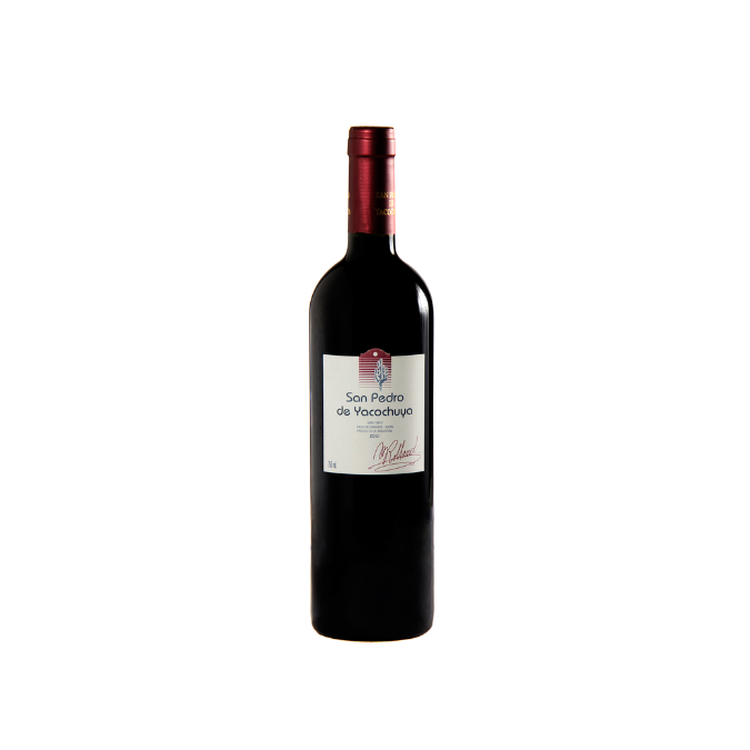 SAN PEDRO DE YACOCHUYA MALBEC 2012 750ML